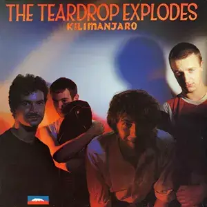 🇬🇧 The Teardrop Explodes (ティアドロップ・エクスプローズ) | 永遠の詩